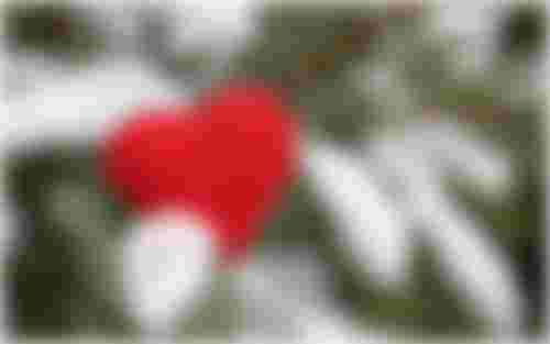 Coping with Holiday Grief